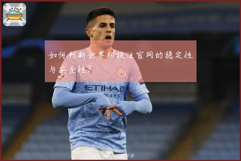 如何判断世界杯投注官网的稳定性与安全性？