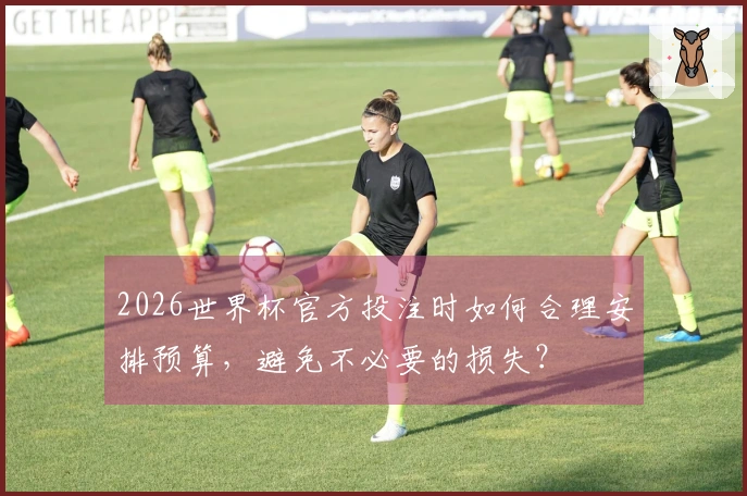 2026世界杯官方投注时如何合理安排预算，避免不必要的损失？