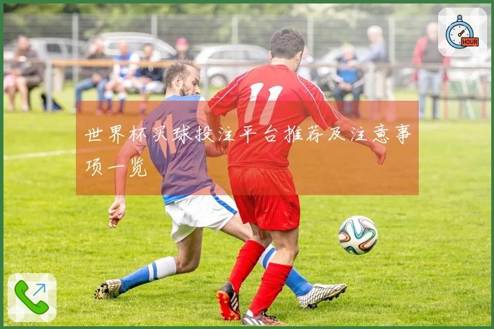 世界杯买球投注平台推荐及注意事项一览