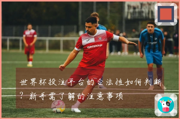世界杯投注平台的合法性如何判断？新手需了解的注意事项
