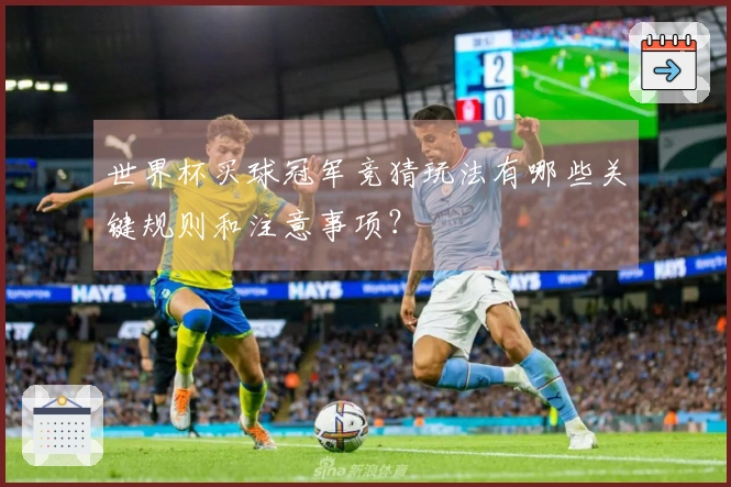 世界杯买球冠军竞猜玩法有哪些关键规则和注意事项？