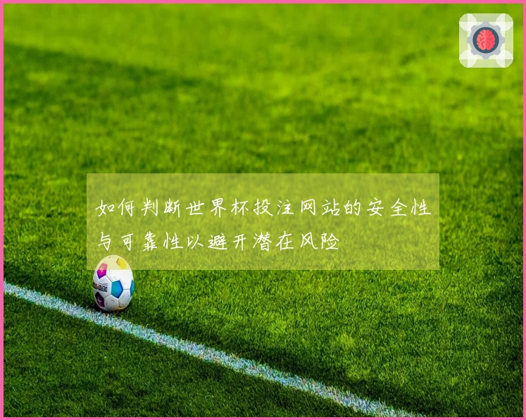 如何判断世界杯投注网站的安全性与可靠性以避开潜在风险