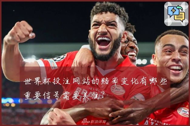 世界杯投注网站的赔率变化有哪些重要信号需要关注？