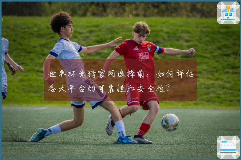 世界杯竞猜官网选择前，如何评估各大平台的可靠性和安全性？