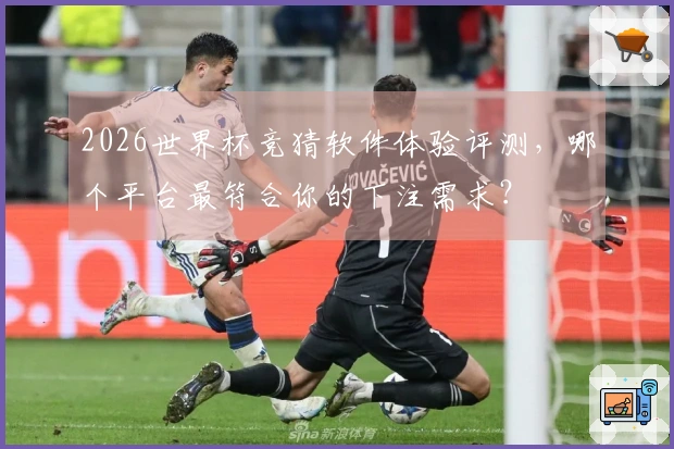 2026世界杯竞猜软件体验评测，哪个平台最符合你的下注需求？