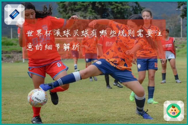 世界杯滚球买球有哪些规则需要注意的细节解析