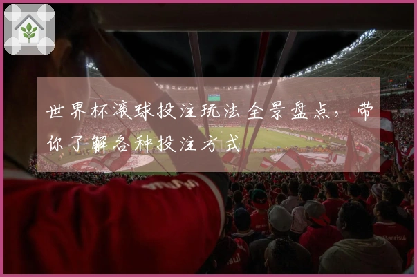 世界杯滚球投注玩法全景盘点,带你了解各种投注方式
