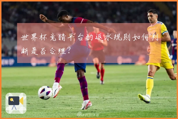 世界杯竞猜平台的返水规则如何判断是否合理？