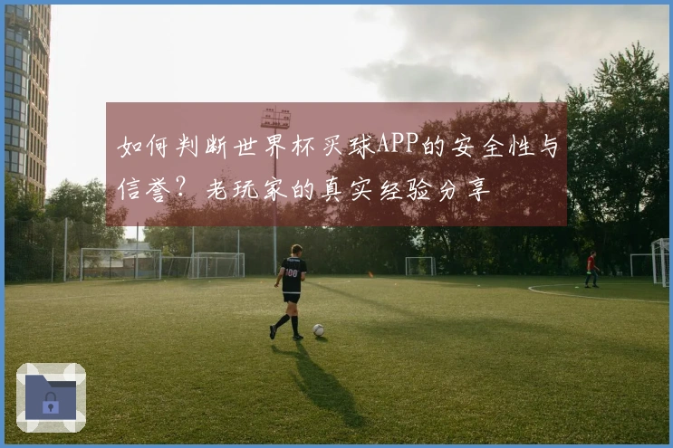 如何判断世界杯买球APP的安全性与信誉？老玩家的真实经验分享