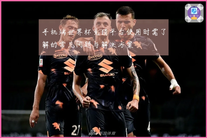 手机端世界杯竞猜平台使用时需了解的常见问题与解决方案