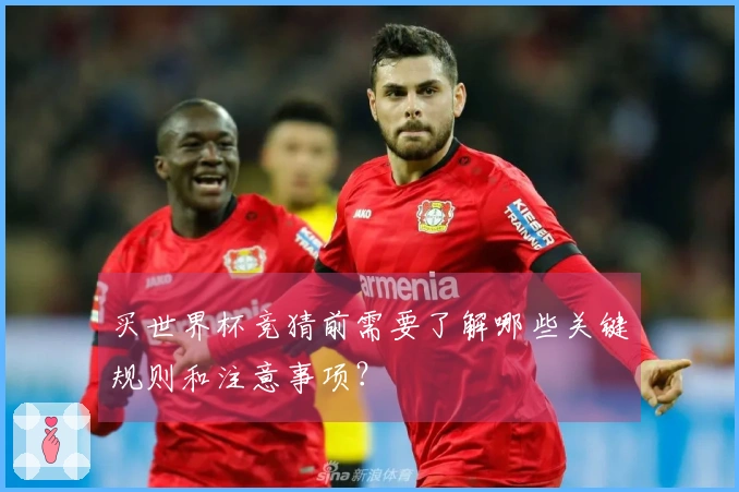 买世界杯竞猜前需要了解哪些关键规则和注意事项？
