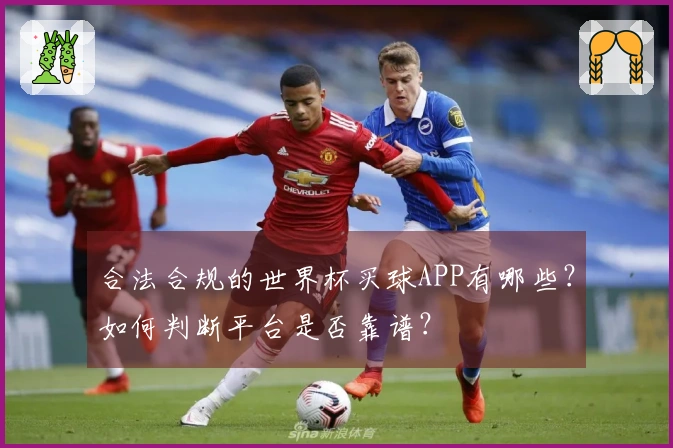合法合规的世界杯买球APP有哪些？如何判断平台是否靠谱？