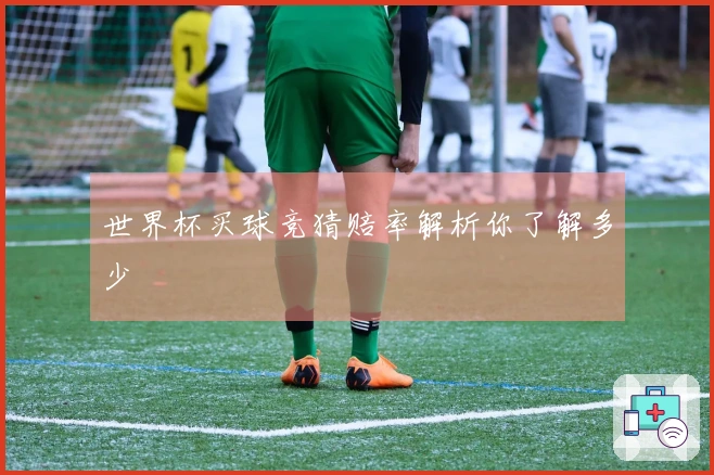 世界杯买球竞猜赔率解析你了解多少