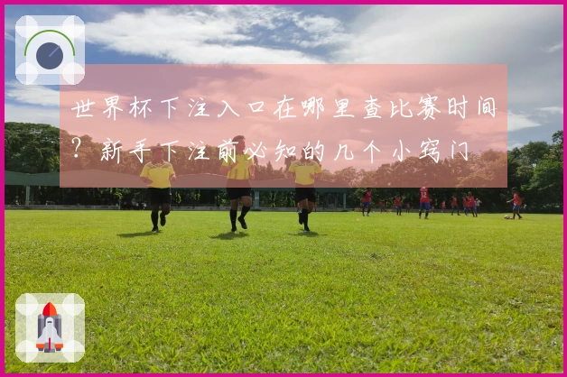 世界杯下注入口在哪里查比赛时间？新手下注前必知的几个小窍门