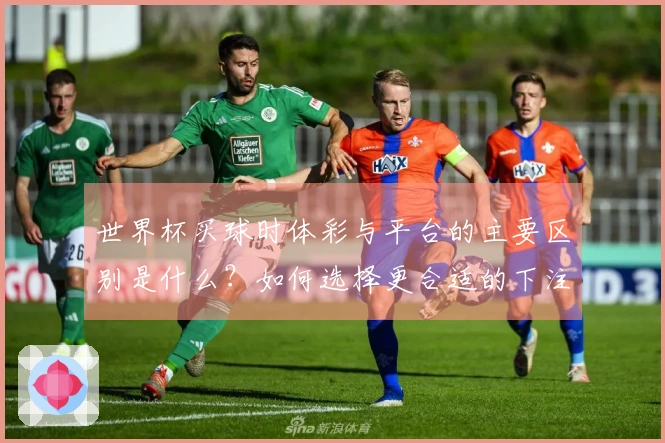 世界杯买球时体彩与平台的主要区别是什么？如何选择更合适的下注方式？