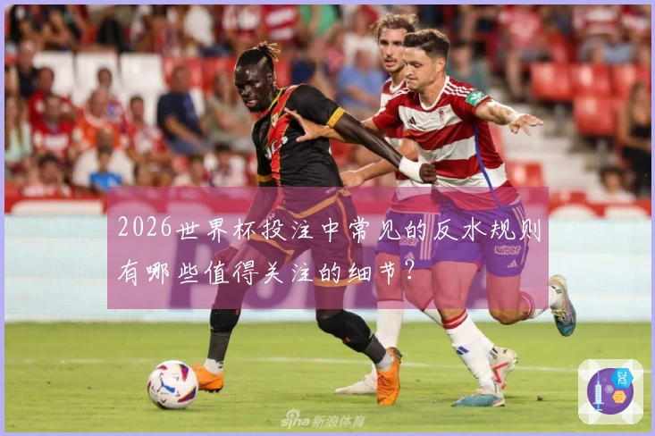 2026世界杯投注中常见的反水规则有哪些值得关注的细节？