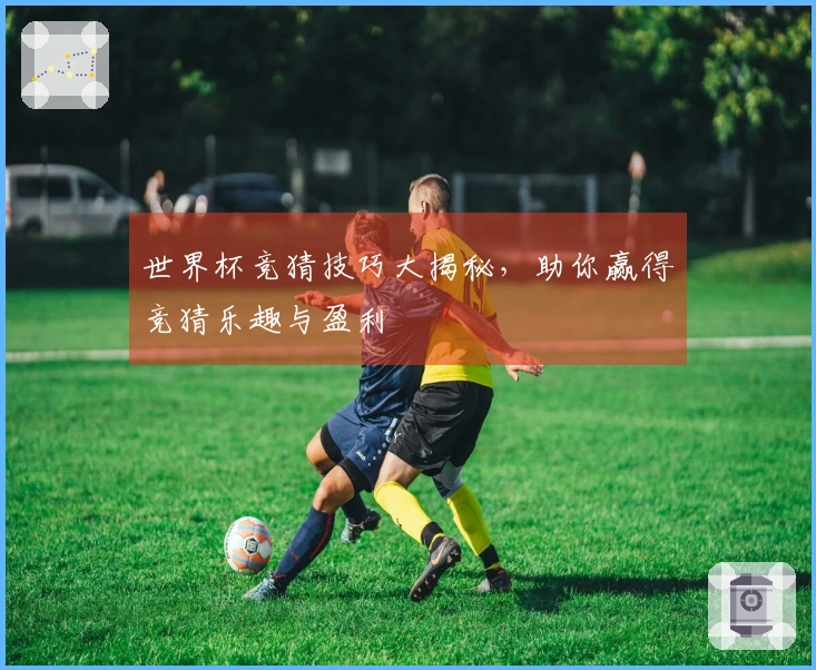 世界杯竞猜技巧大揭秘，助你赢得竞猜乐趣与盈利