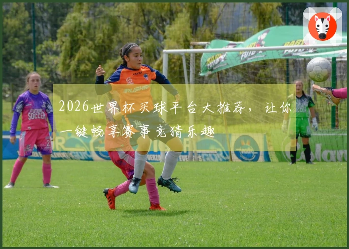 2026世界杯买球平台大推荐，让你一键畅享赛事竞猜乐趣