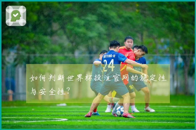 如何判断世界杯投注官网的稳定性与安全性？