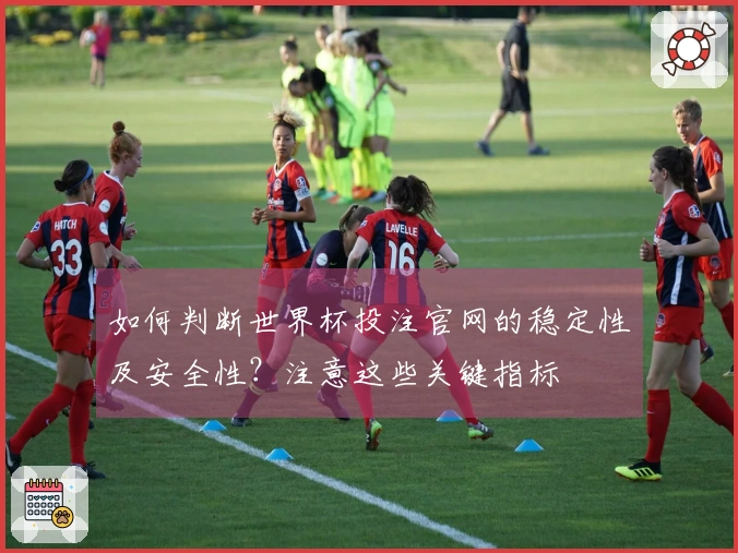 如何判断世界杯投注官网的稳定性及安全性？注意这些关键指标