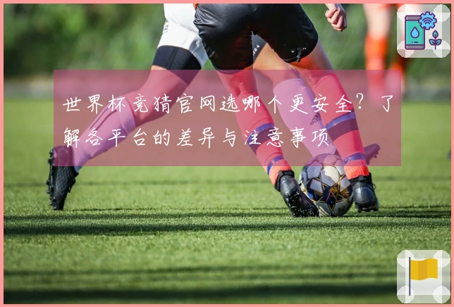 世界杯竞猜官网选哪个更安全？了解各平台的差异与注意事项