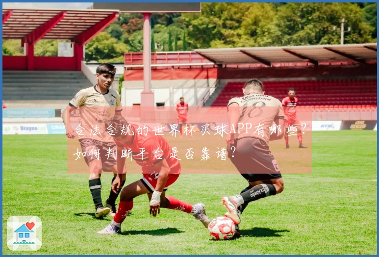 合法合规的世界杯买球APP有哪些？如何判断平台是否靠谱？