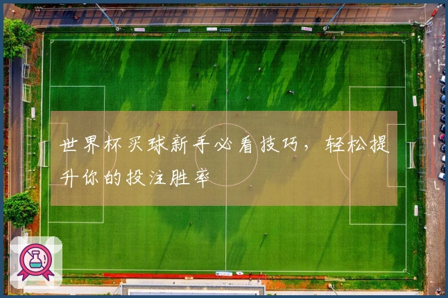 世界杯买球新手必看技巧，轻松提升你的投注胜率