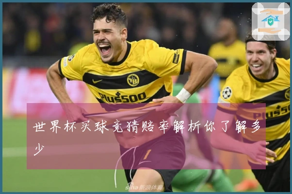 世界杯买球竞猜赔率解析你了解多少