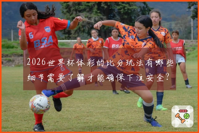 2026世界杯体彩的比分玩法有哪些细节需要了解才能确保下注安全？