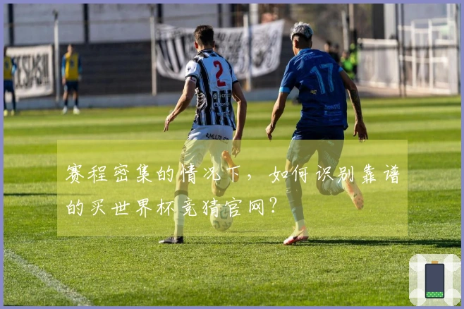赛程密集的情况下，如何识别靠谱的买世界杯竞猜官网？