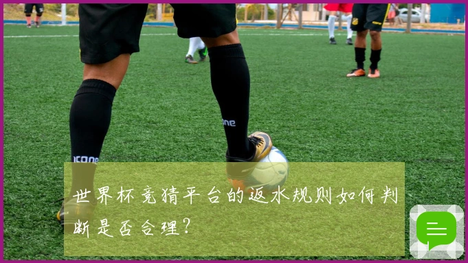世界杯竞猜平台的返水规则如何判断是否合理？