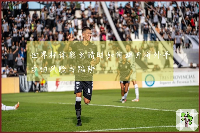 世界杯体彩竞猜时如何避开海外平台的风险与陷阱