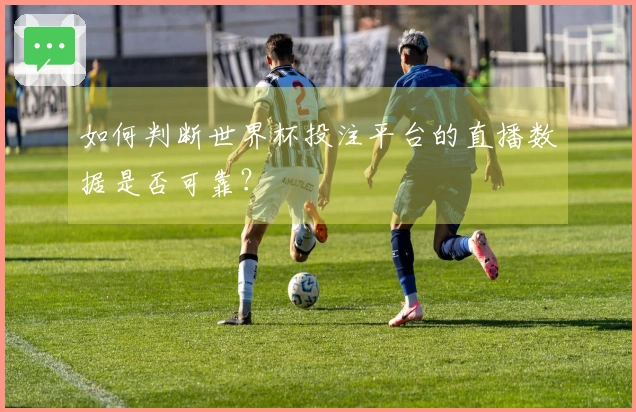 如何判断世界杯投注平台的直播数据是否可靠？