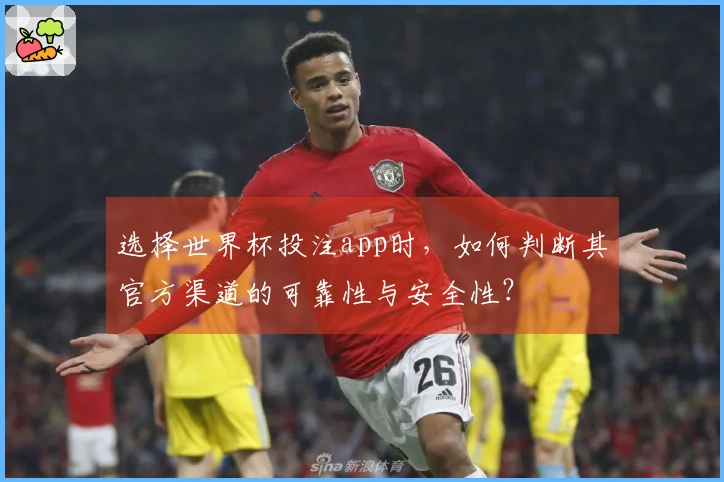 选择世界杯投注app时，如何判断其官方渠道的可靠性与安全性？