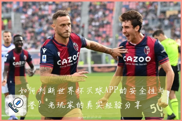 如何判断世界杯买球APP的安全性与信誉？老玩家的真实经验分享