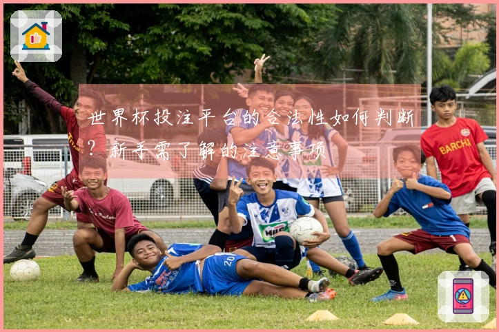 世界杯投注平台的合法性如何判断？新手需了解的注意事项
