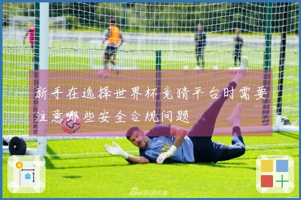 新手在选择世界杯竞猜平台时需要注意哪些安全合规问题